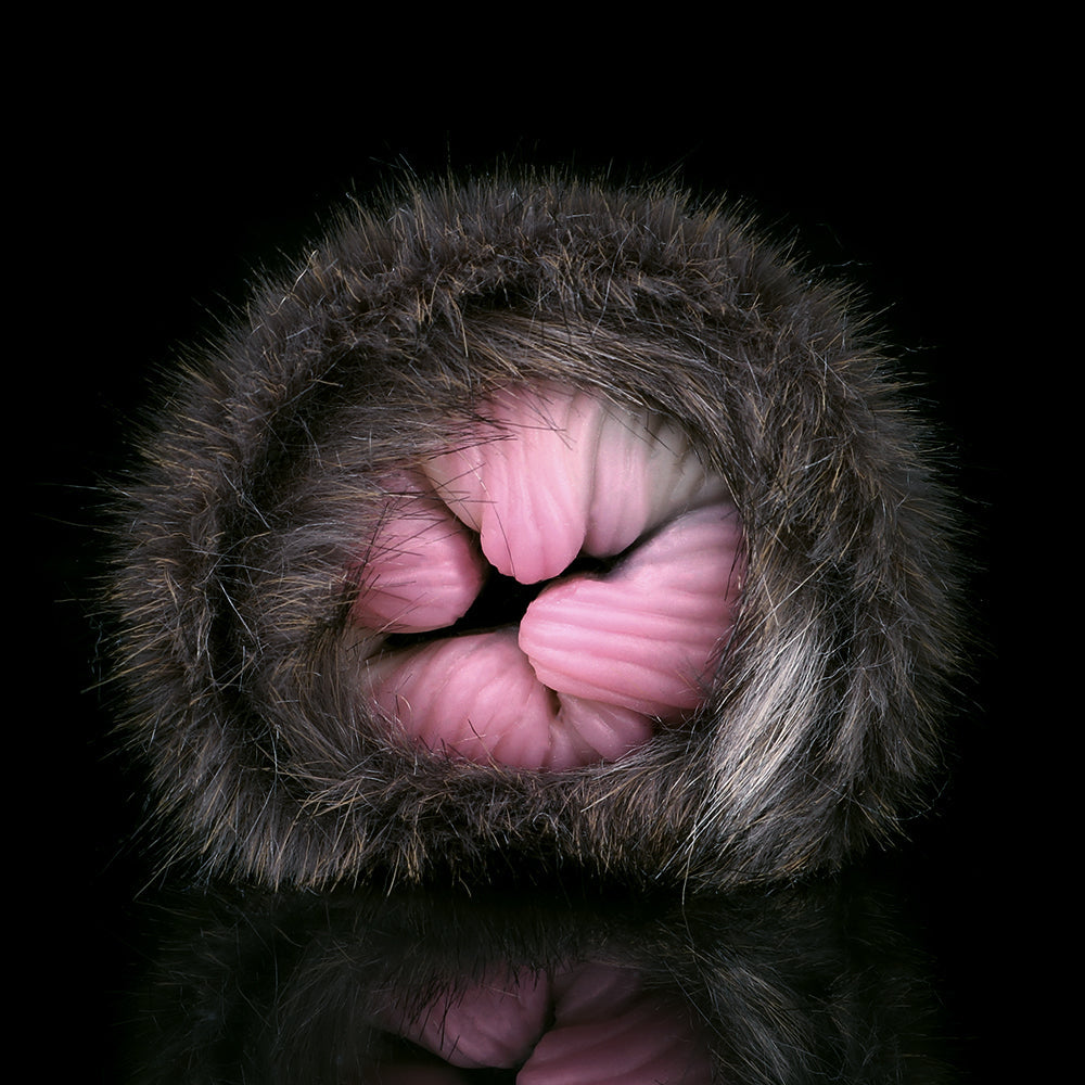 Plush Cat – Furry Fleshlight Fantasy Masturbator
