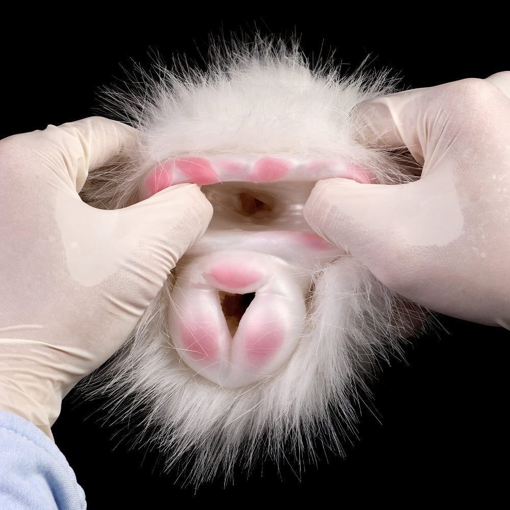 The Celestial Fluff: Mythical Furry Fleshlight Fantasy Stroker