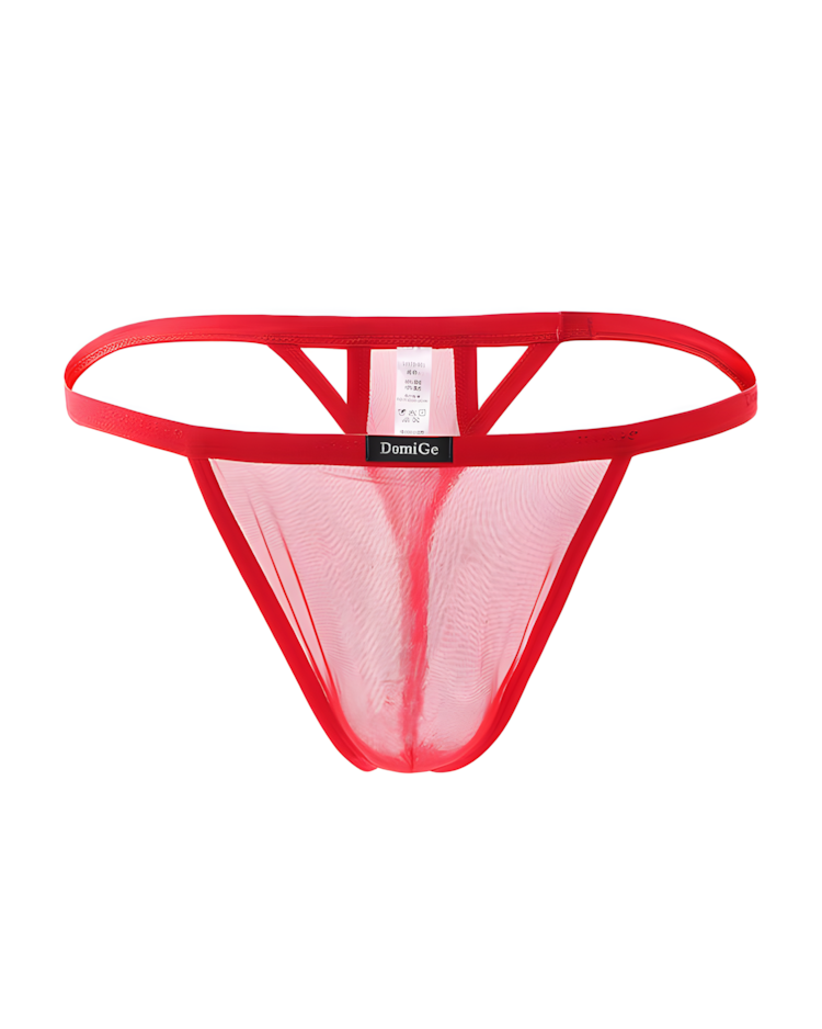 Men's Ice Silk See-Through Mesh Thong
