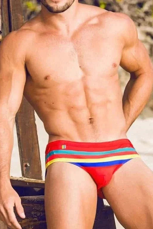 Colorful Striped Bikini Low Rise Briefs